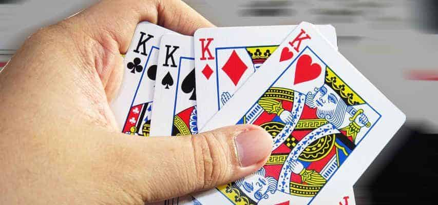 Cách dụ heo đỏ để chặt đơn giản