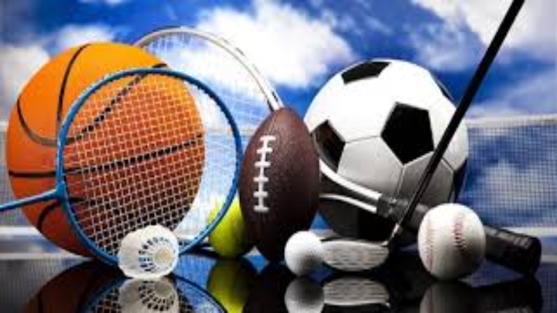 Giới thiệu sân chơi cá cược Panda Sports